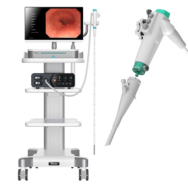 一次性使用電子上消化道內窺鏡